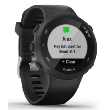 Garmin Forerunner 45 L GPS